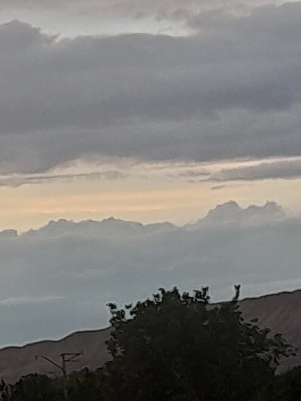 Sunset observed with layered clouds and tree silhouettes