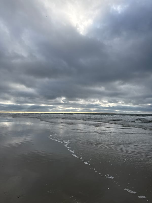 Moody low tide on Langeoog's North Sea beach
