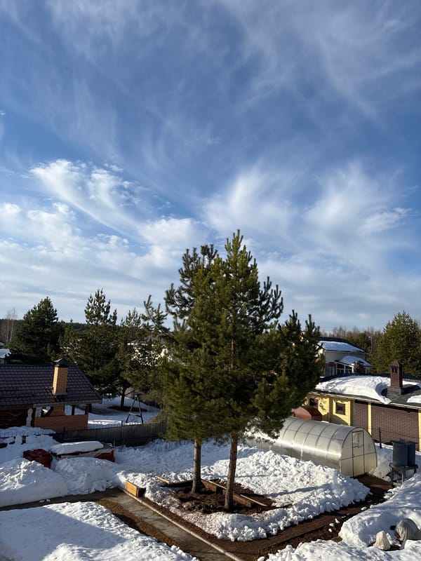 Winter morning scenes documented in Russian village residential area