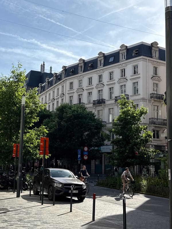 Busy afternoon on Brussels' central shopping streets