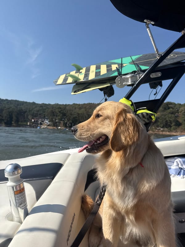 Golden retriever spotted on wakeboard boat in Valle de Bravo