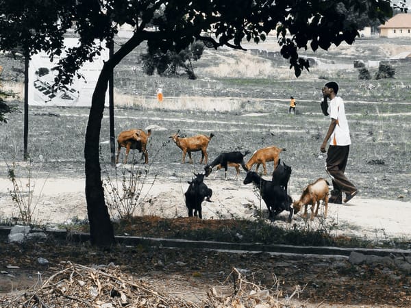 People walk through rural fields in Keffi, Nigeria