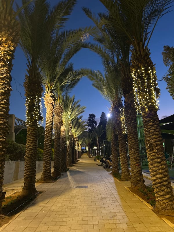 Evening stroll through Rishon LeZion's lit promenade and streets