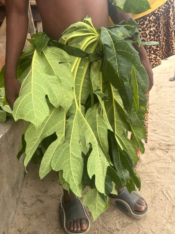 Leaf skirt and papaya leaves in Badagry's sandy terrain