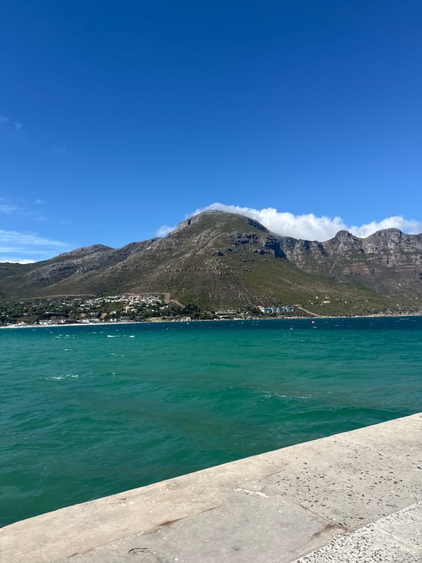 Scenic coastal views documented in Hout Bay, South Africa