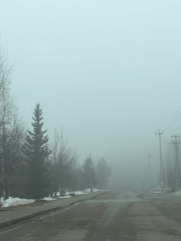 Foggy morning scenes documented in Прикамский, Russia