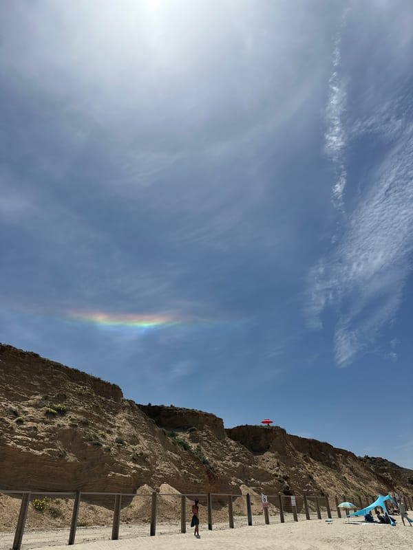 Morning fishing observed along Herzliya coastline