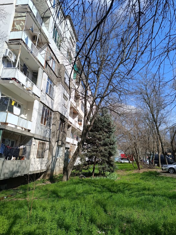 Quiet afternoon moments captured across residential Pleven, Bulgaria