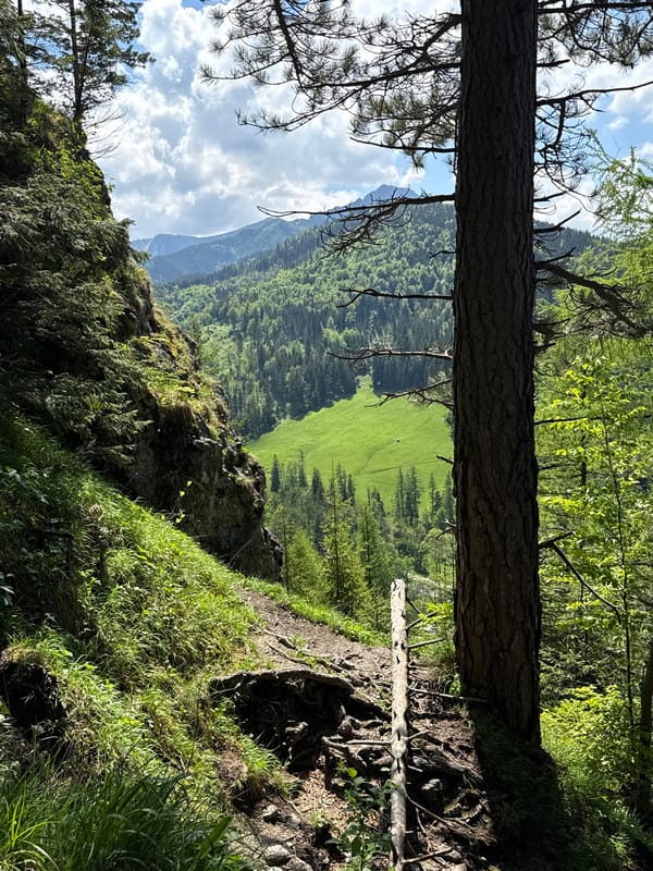 Hikers enjoy scenic Tatra Mountain views near Zakopane, Poland
