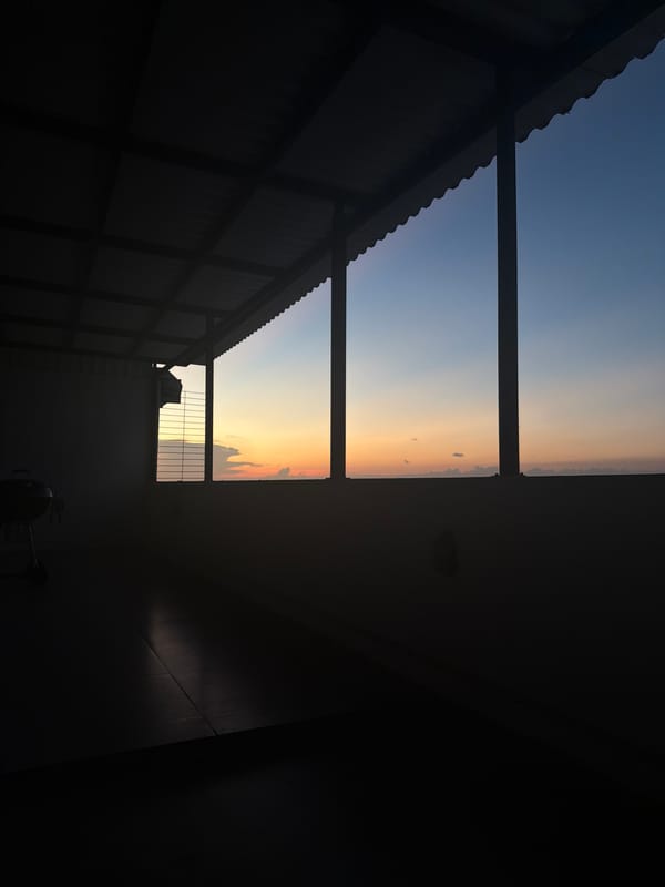 Sunset observed from balcony through corrugated roof structure