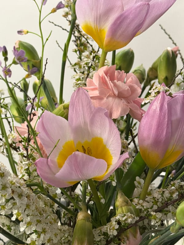 Evening life documented across Bremgarten, Switzerland in spring