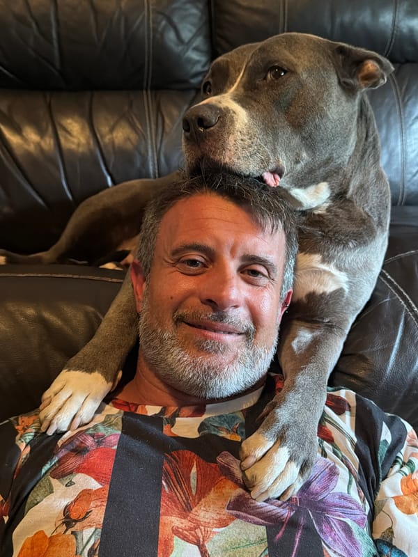 Man and pit bull share quiet moment on couch