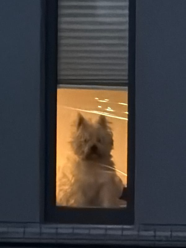 Orange light illuminates window object in Luxembourg building