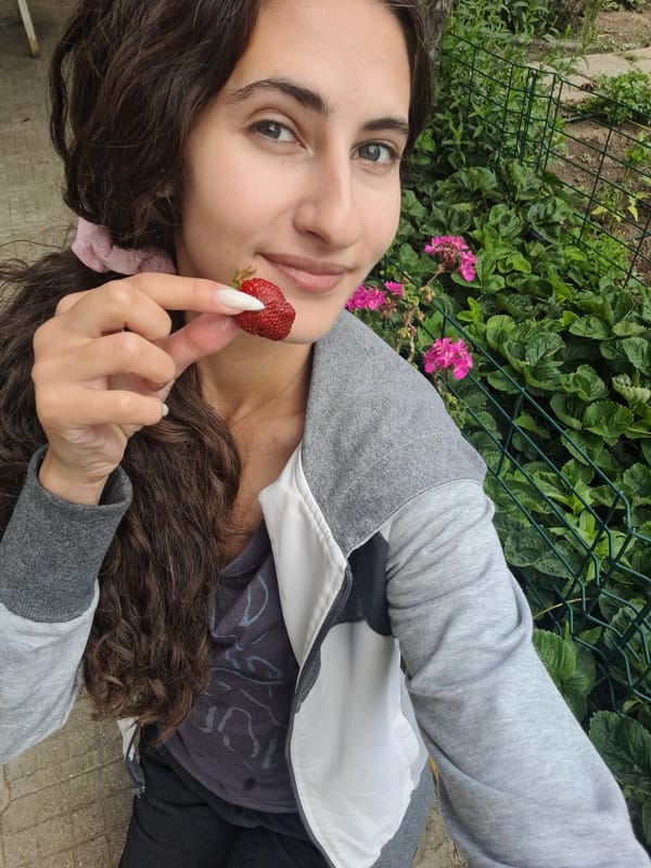Woman picks strawberries, holds chocolate in Bulgarian village