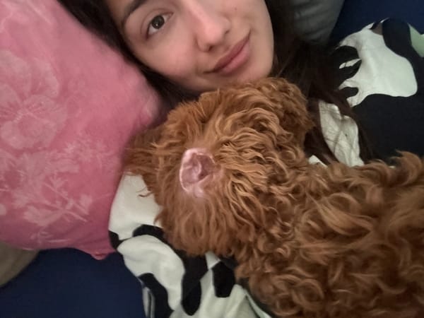 Woman shares quiet morning moment with small dog in Montenegro