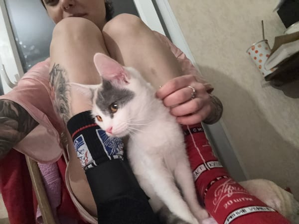 Pet rats and owner observed in Saint Petersburg home