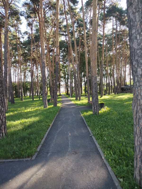 Quiet afternoon in a Zavodoukovsk park with a war memorial