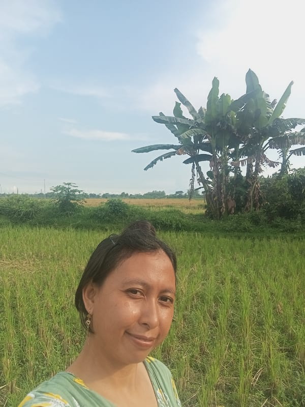 Agricultural burning observed in post-harvest field near Baron, Indonesia