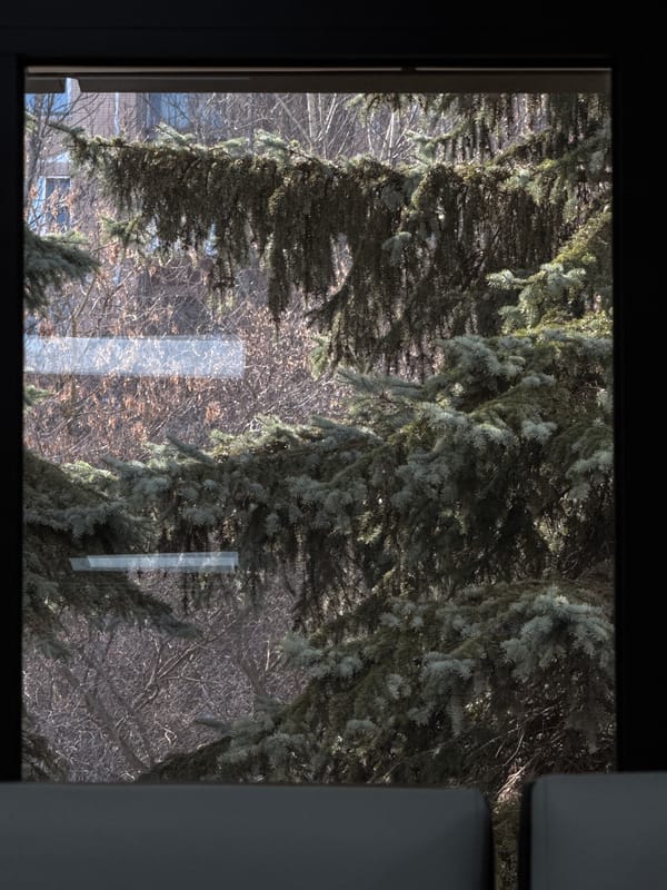 Moscow residents document routine urban views near city center