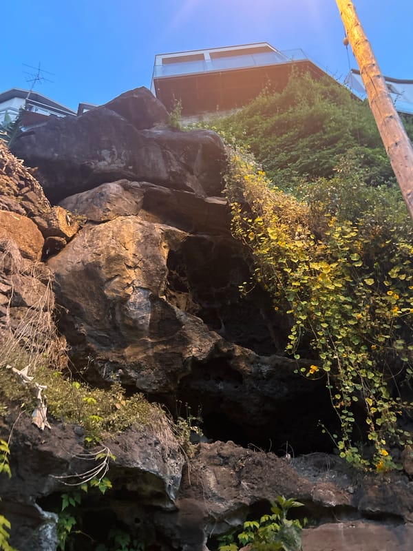 Evening sunset walk documented through Câmara de Lobos, Portugal