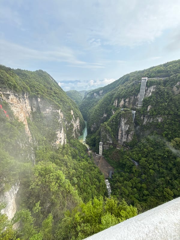 Tourist captures Zhangjiajie's mountains and glass bridge at dawn