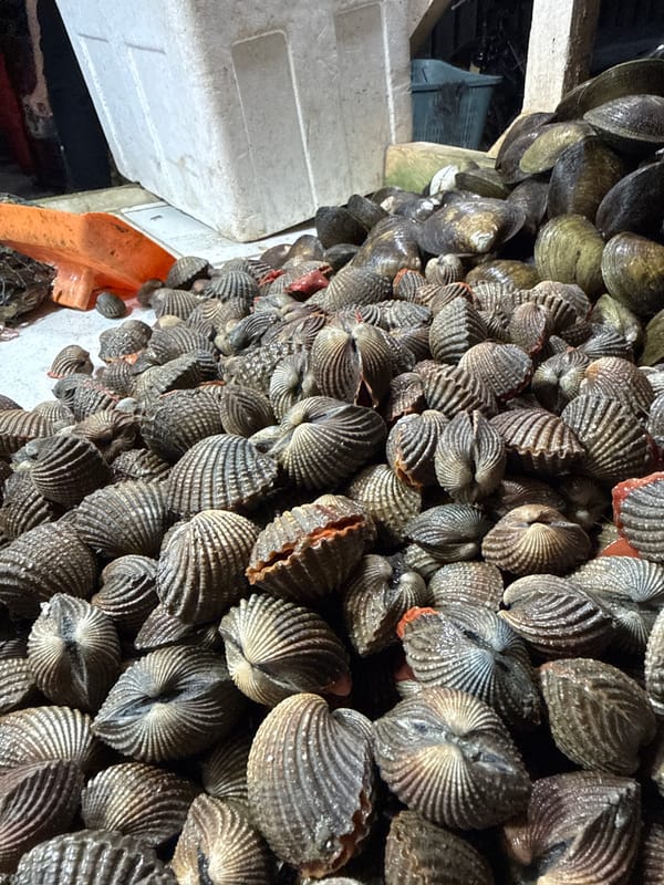 Night seafood market operates in Lhokseumawe, Indonesia