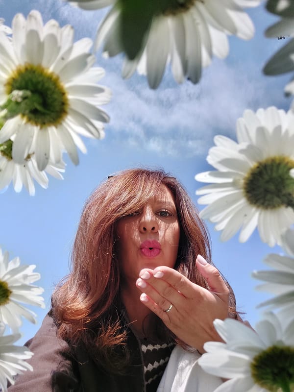 Summer photo session with daisies in sunny Sofia