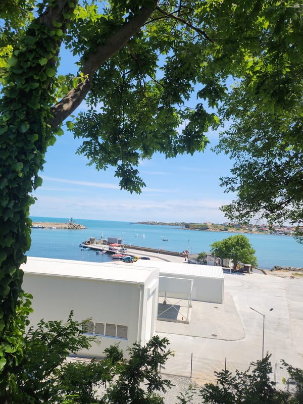 Tsarevo harbor through ivy-draped trees on a sunny June morning