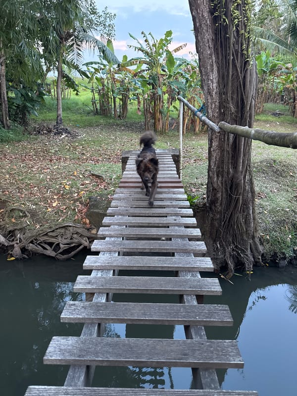 Daily life moments captured across Kediri, Indonesia morning