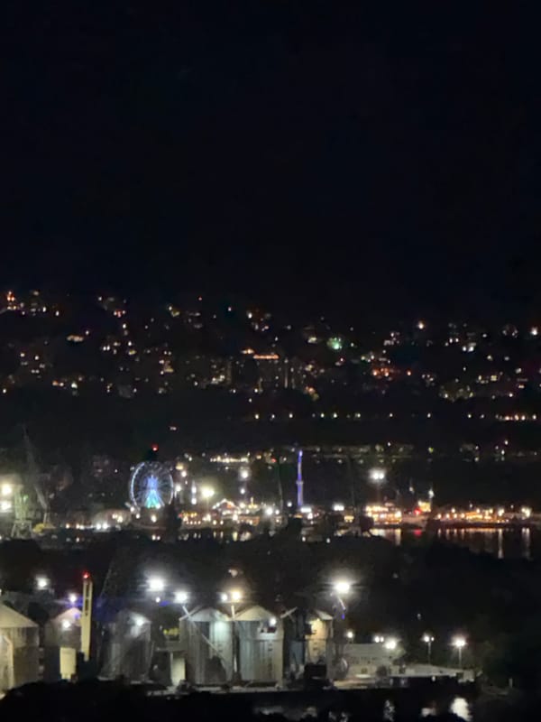 Evening balcony views of city lights with flowers and personal items