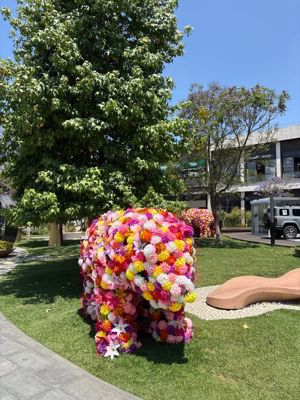 Witness documents churros shop and flower sculpture in Metepec