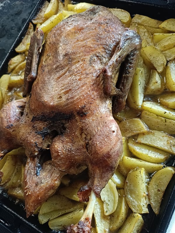 Duck dinner documented in Rusalevka, Russia