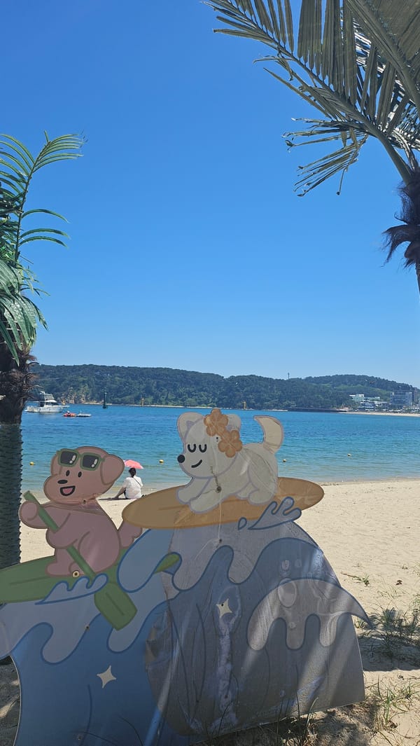 Early morning beach activities captured at Ulsan's Ilsan Beach