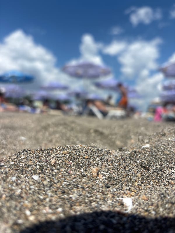 Beach day with umbrellas and loungers on dark sand