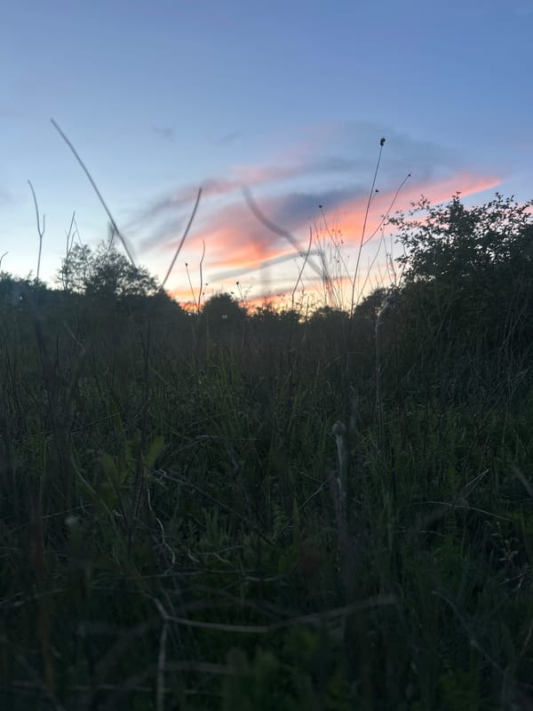 Rural roadside picnic and scenic drive captured during twilight