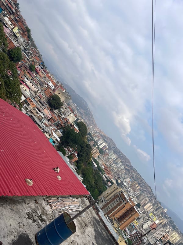 Rooftop observer documents Caracas cityscape and three resting cats
