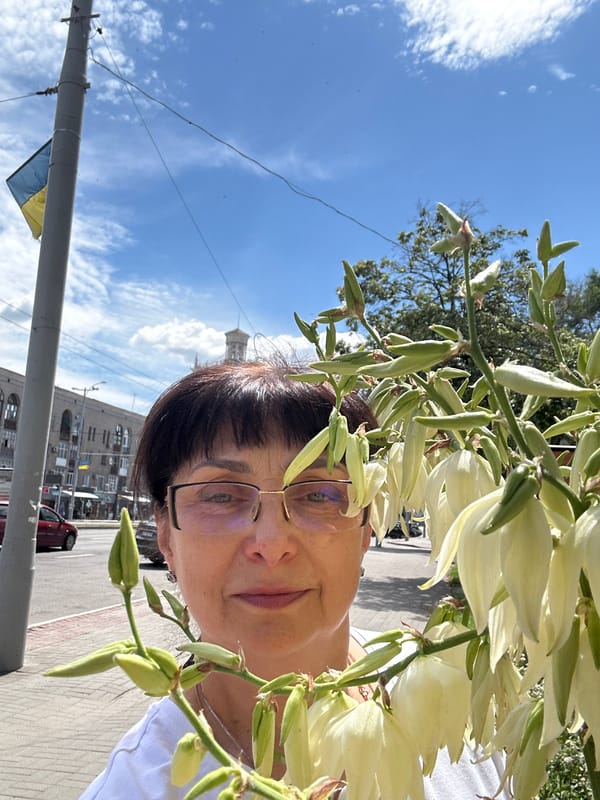 Yucca in bloom on a sunny Zaporizhzhia street