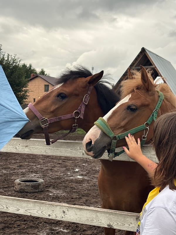 Horses and handlers at a rural equestrian facility near Perm