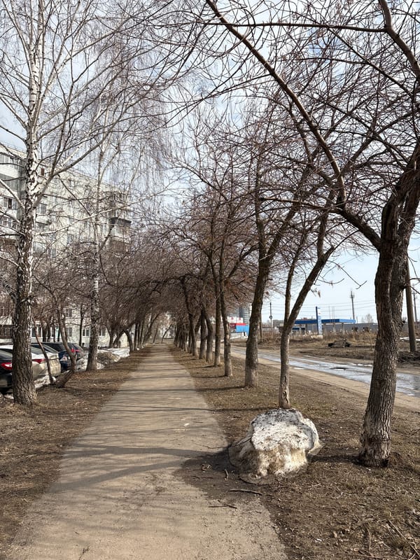 Morning domestic life scenes captured across Ulyanovsk