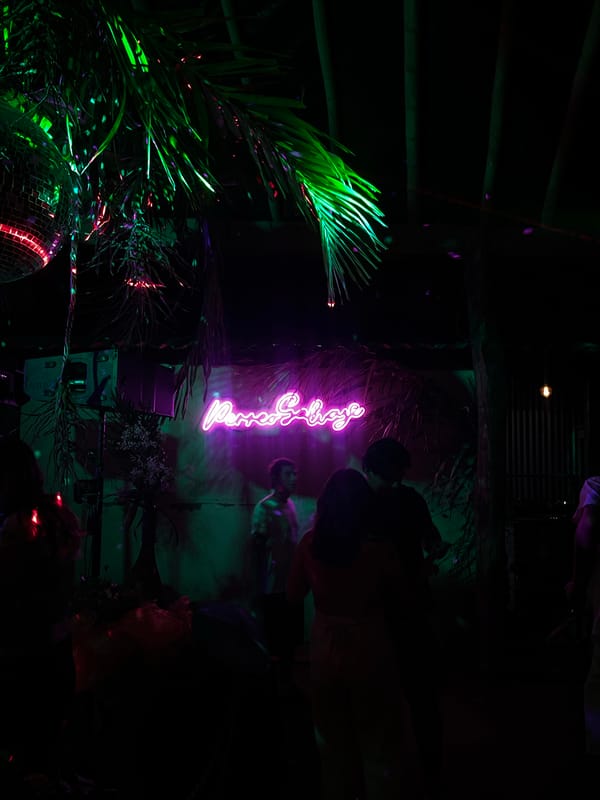 Early morning nightlife scene at Brisas de Zicatela beach clubs