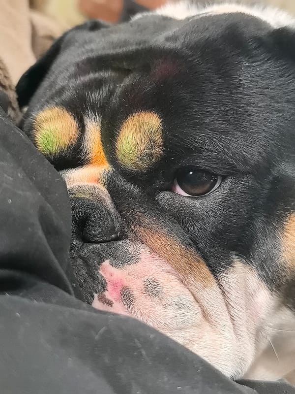 Woman displays empty tequila bottles in Noviy, Russia
