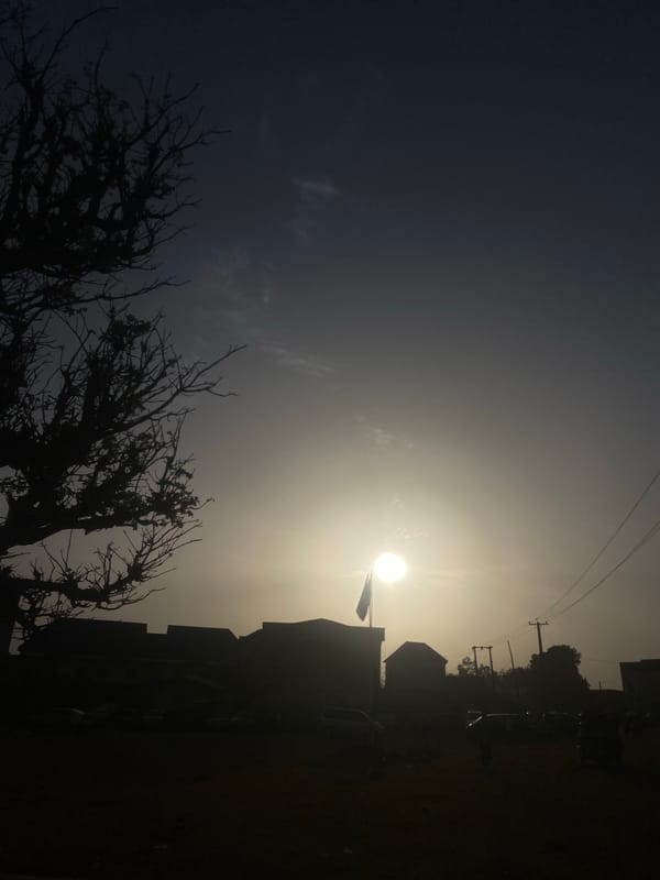 Dramatic sunrise captured in rural Nigeria creates striking silhouettes