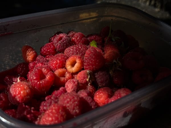 Fresh raspberries in a plastic container, Kryvyi Rih