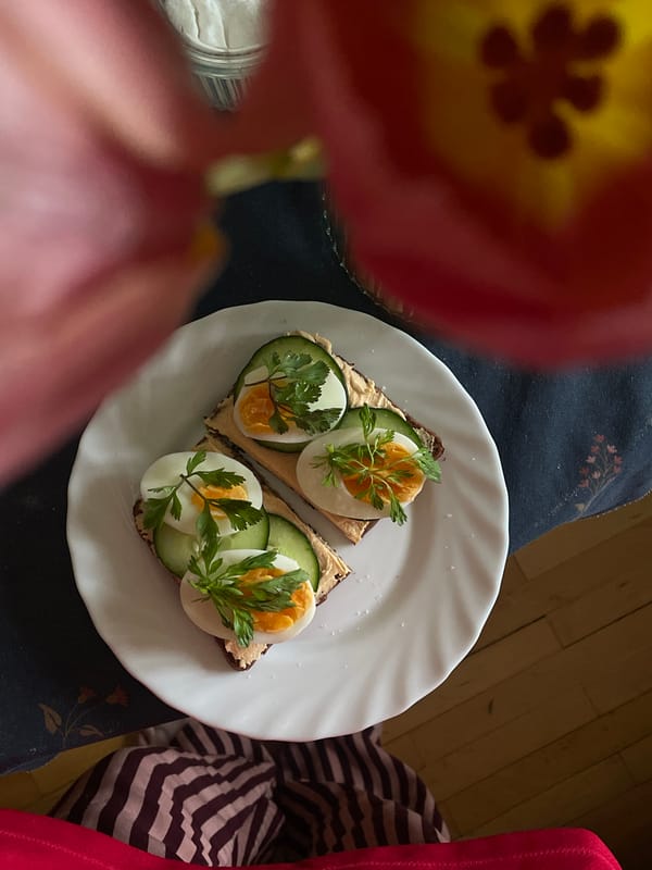 Traditional open-faced sandwiches documented in Belgrade breakfast setting