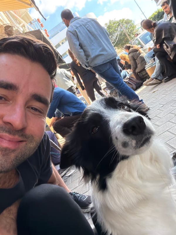 Morning street market scenes with dogs captured in Tel Aviv