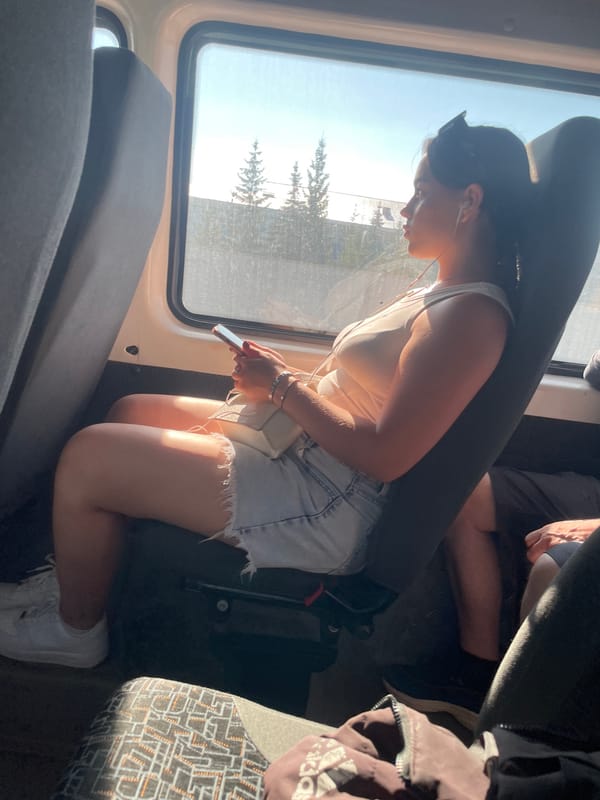 Quiet train ride, phone in hand, sun through the window