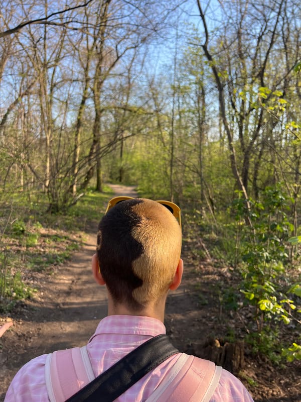 Friends gather in Belgrade woods for casual afternoon outing