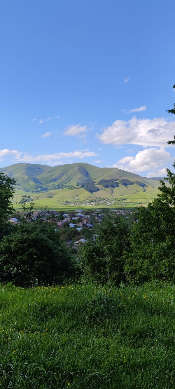 Yellow wildflowers bloom across Kurtan Armenia mountain landscape