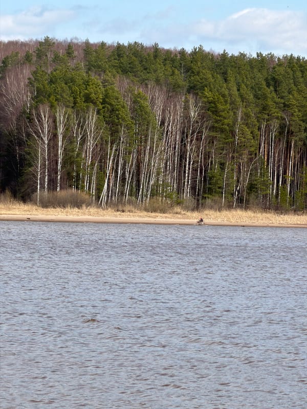 Morning fishing trip documented near Chaikovsky, Russia