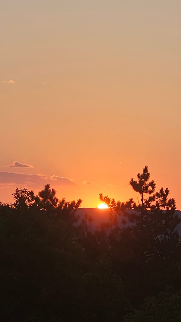 Sunset views over Stara Zagora from a forested hilltop